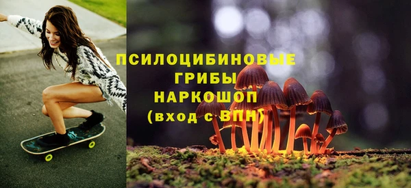 spice Баксан